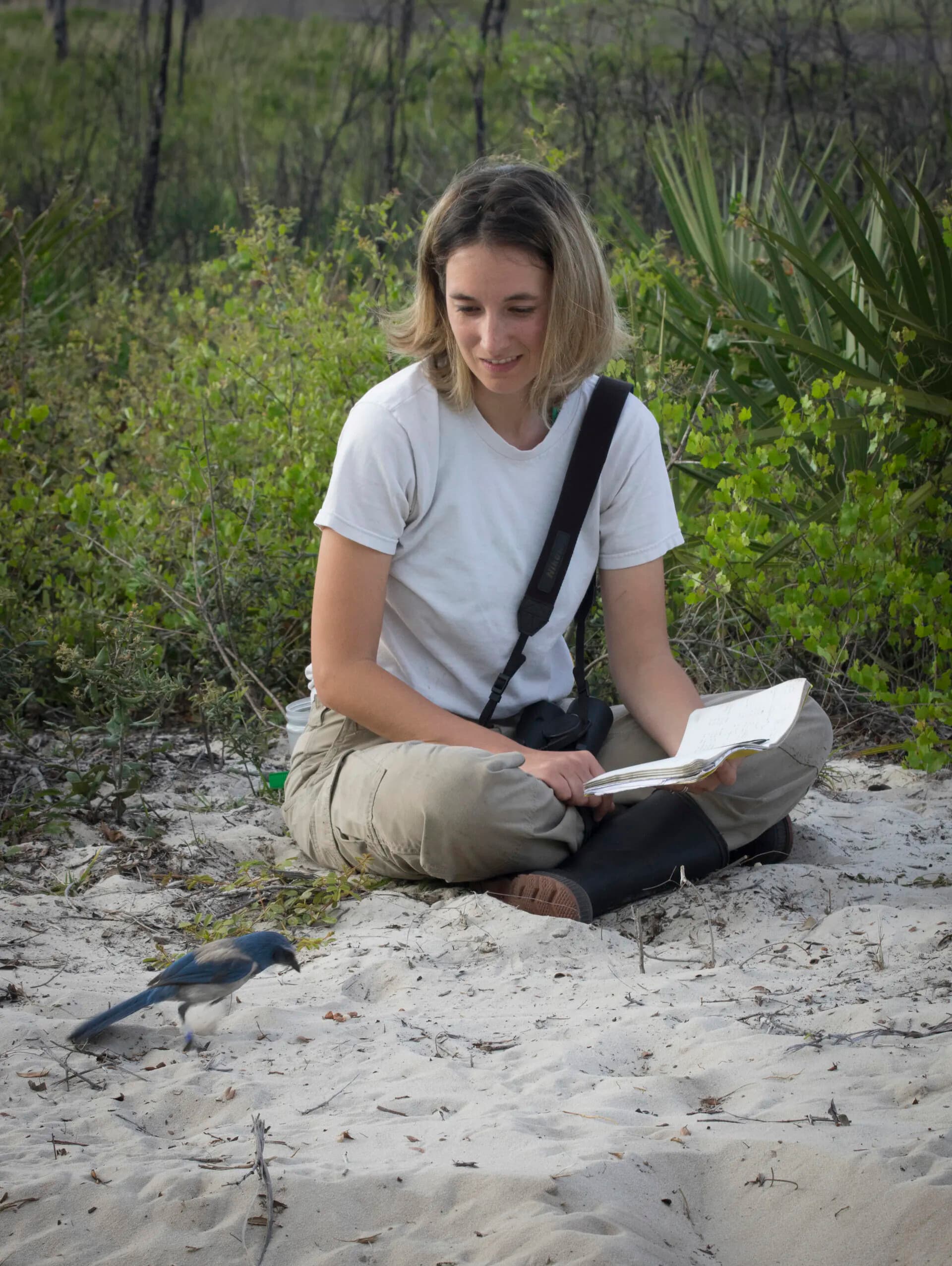 Conservation Science of Military Landscapes