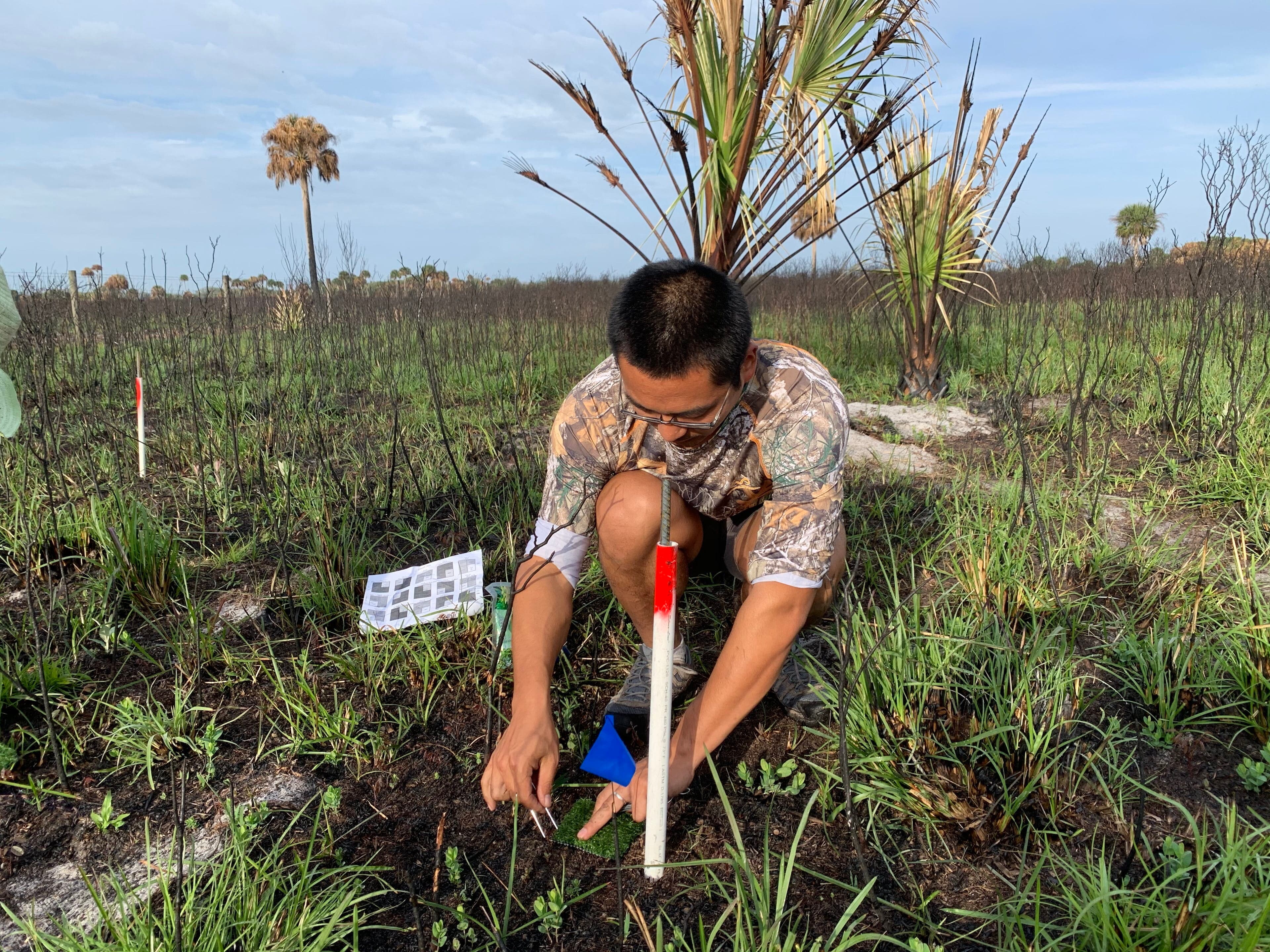 Disturbance and Resources Across Global Grasslands