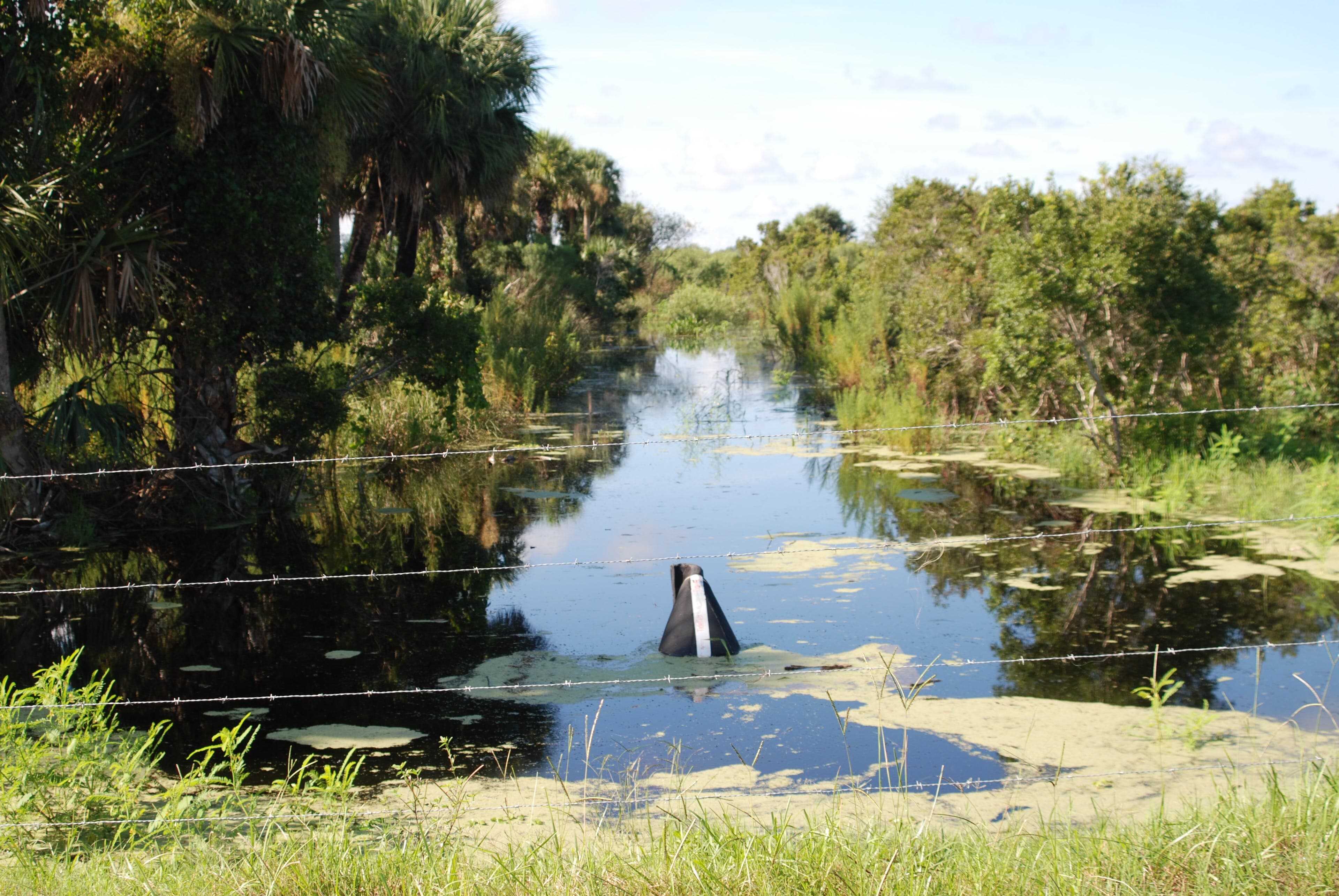 Ranch Wetland Restoration