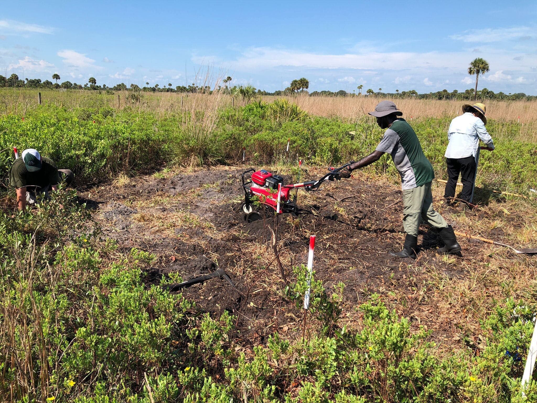 Disturbance and Resources Across Global Grasslands