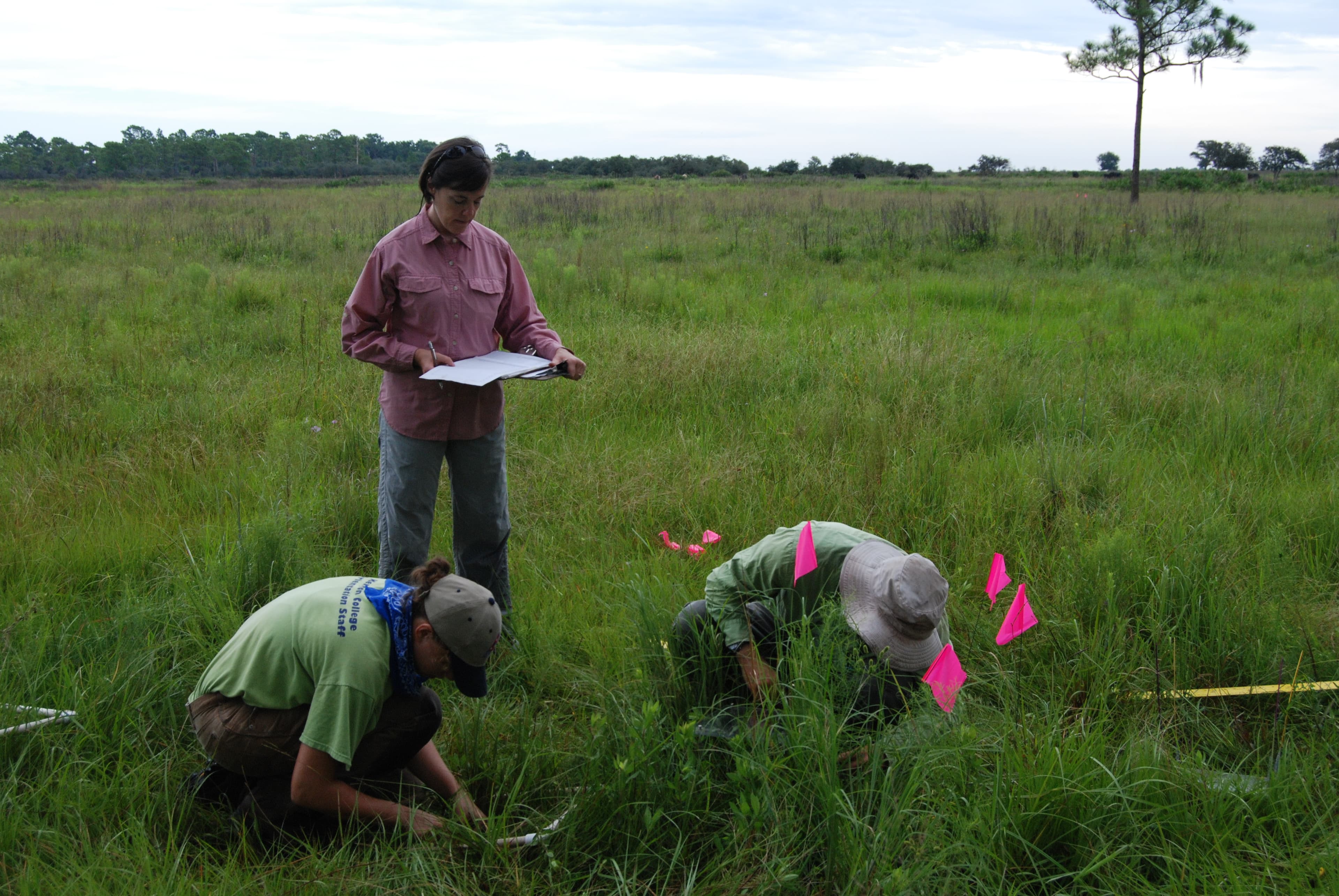 Ranch wetland restoration