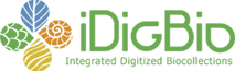 https://www.idigbio.org/