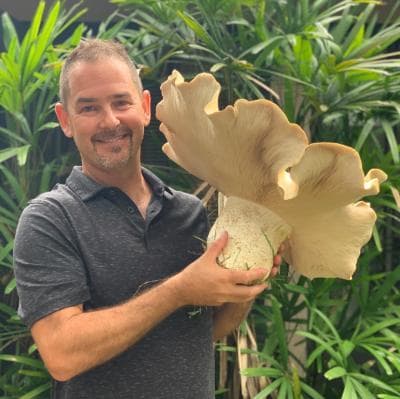 Dr. Matthew Smith, Professor University of Florida