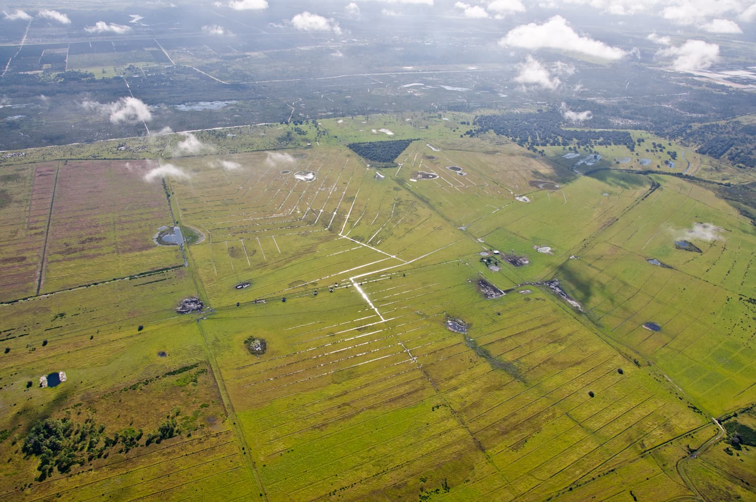 Wetland Restoration Outcomes