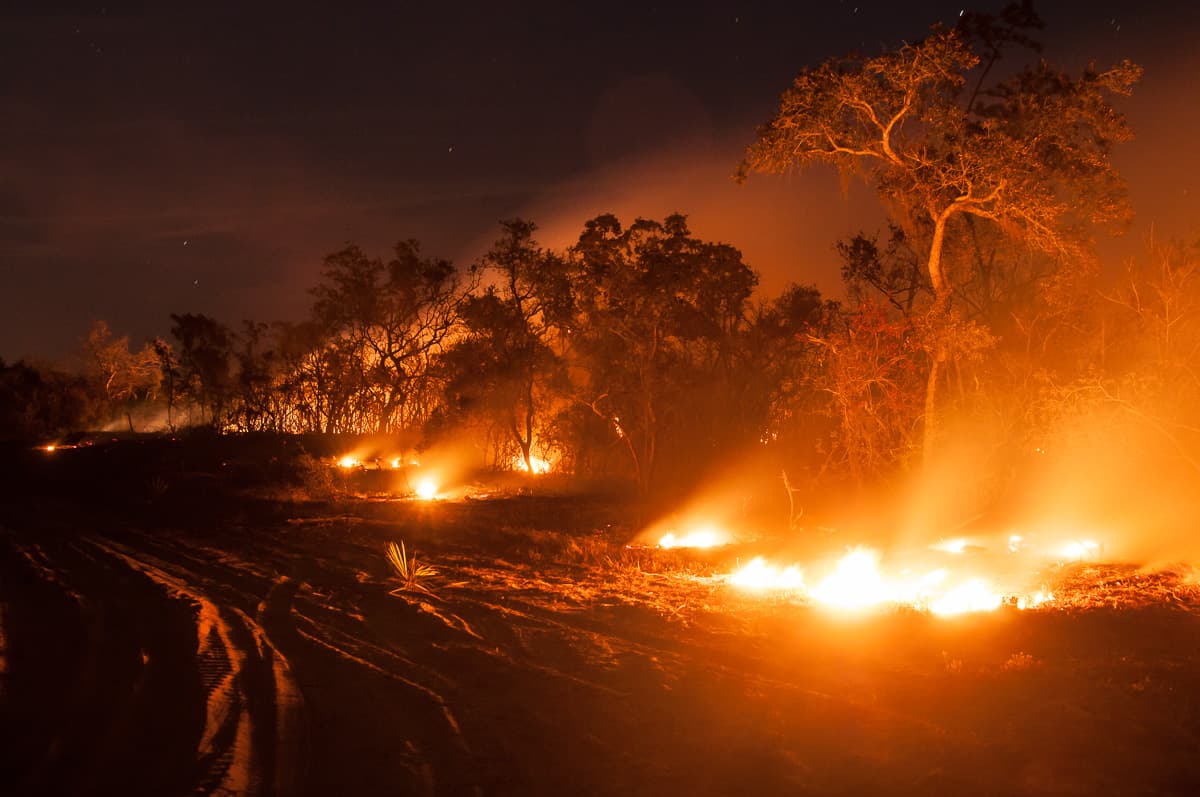 Red Hill Fire