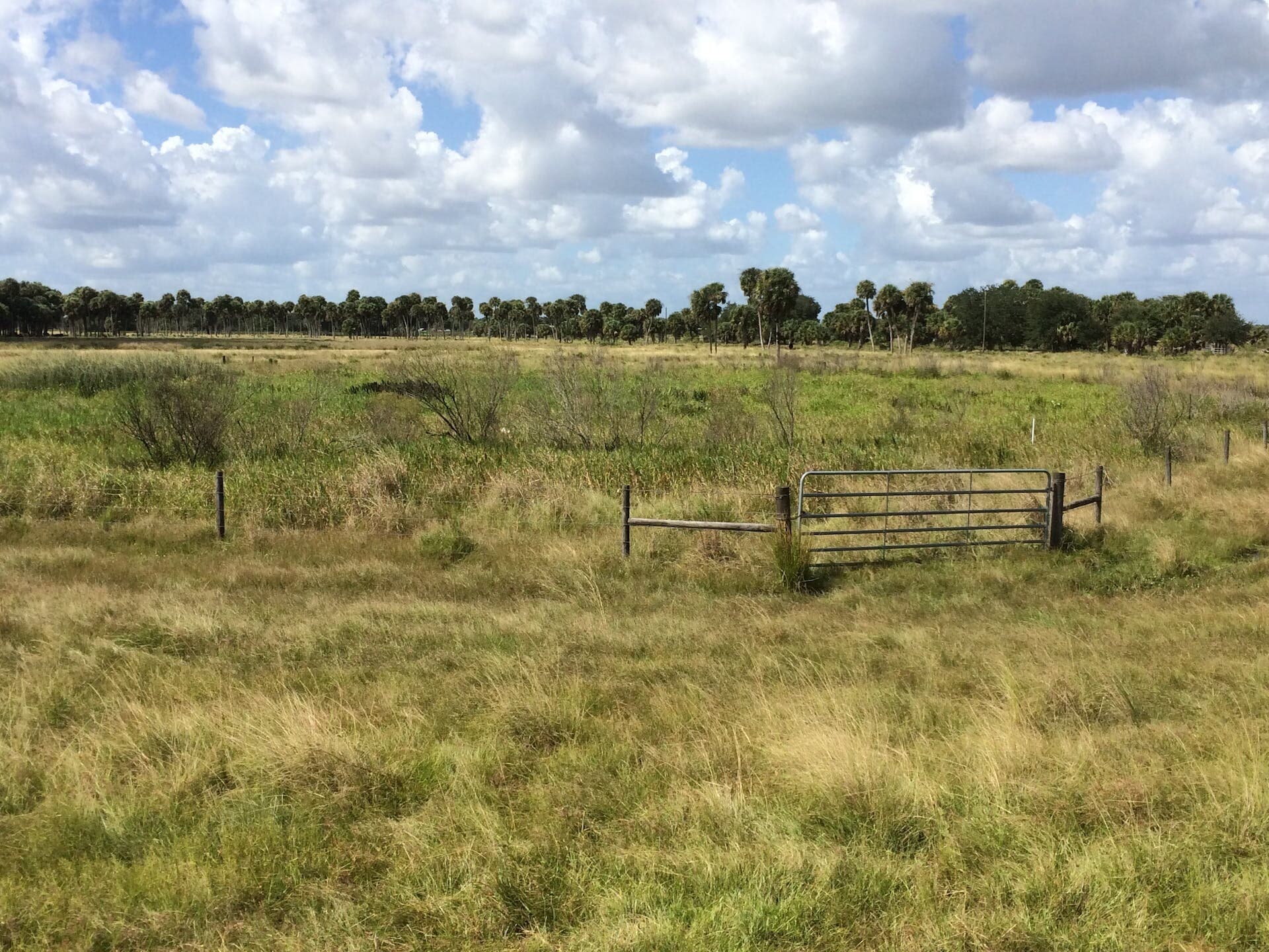 Ranch Wetland Experiment