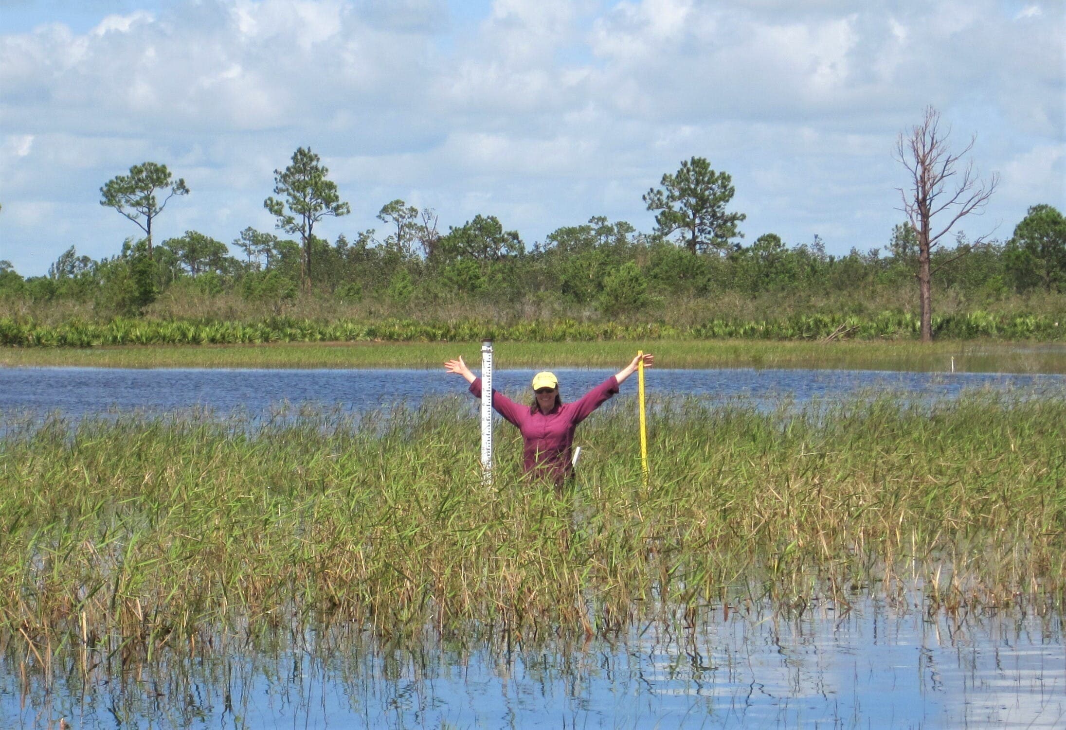 Herpetology & Restoration Ecology