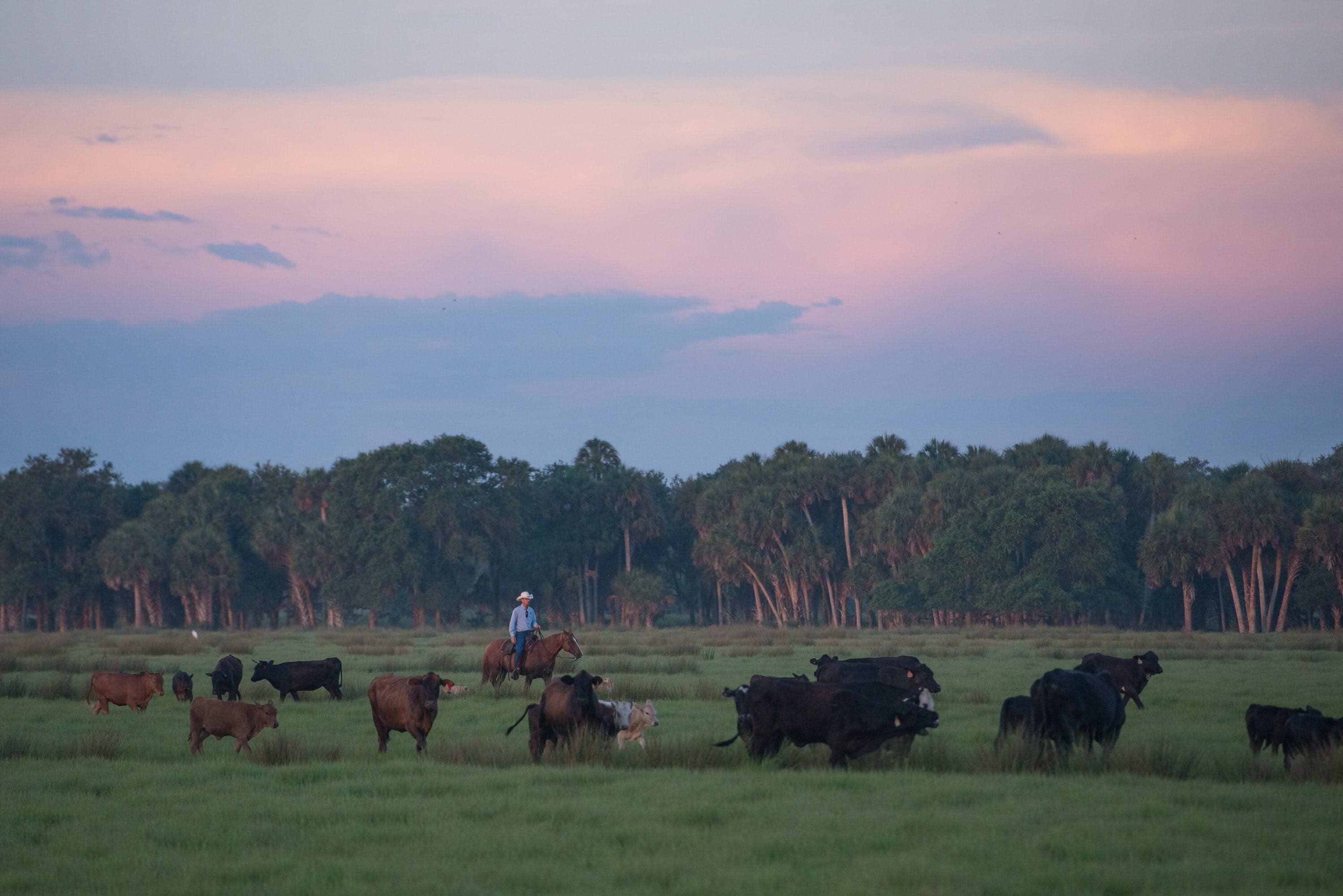 Agroecology