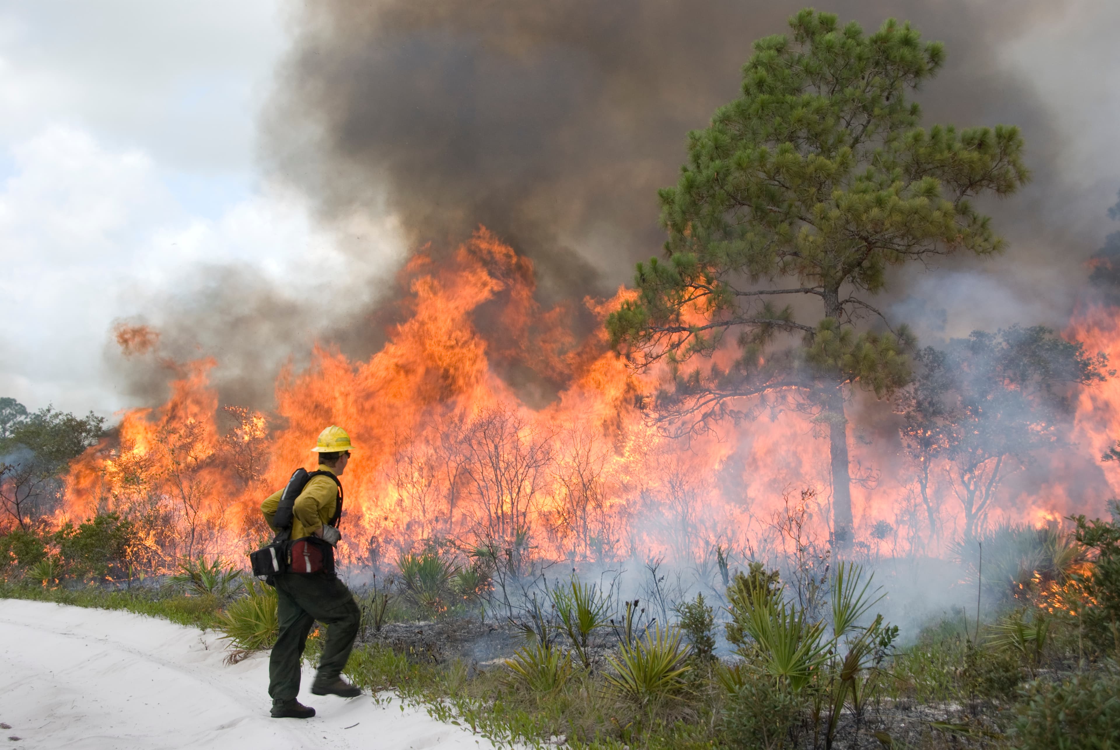 Fire Management