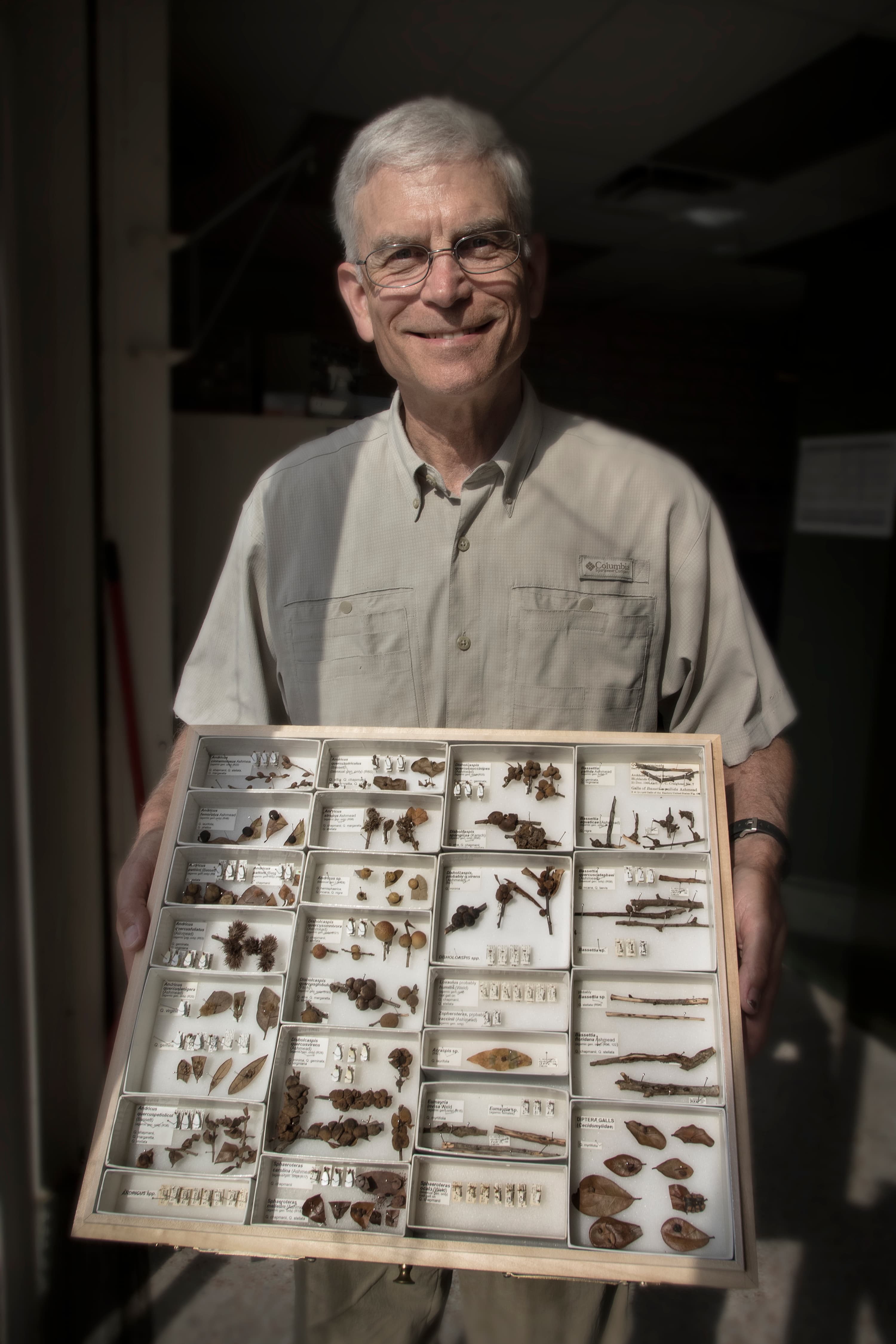 Photo 1: Dr. Warren G Abrahamson with gall wasp specimens from the Archbold Invertebrate Collection. 