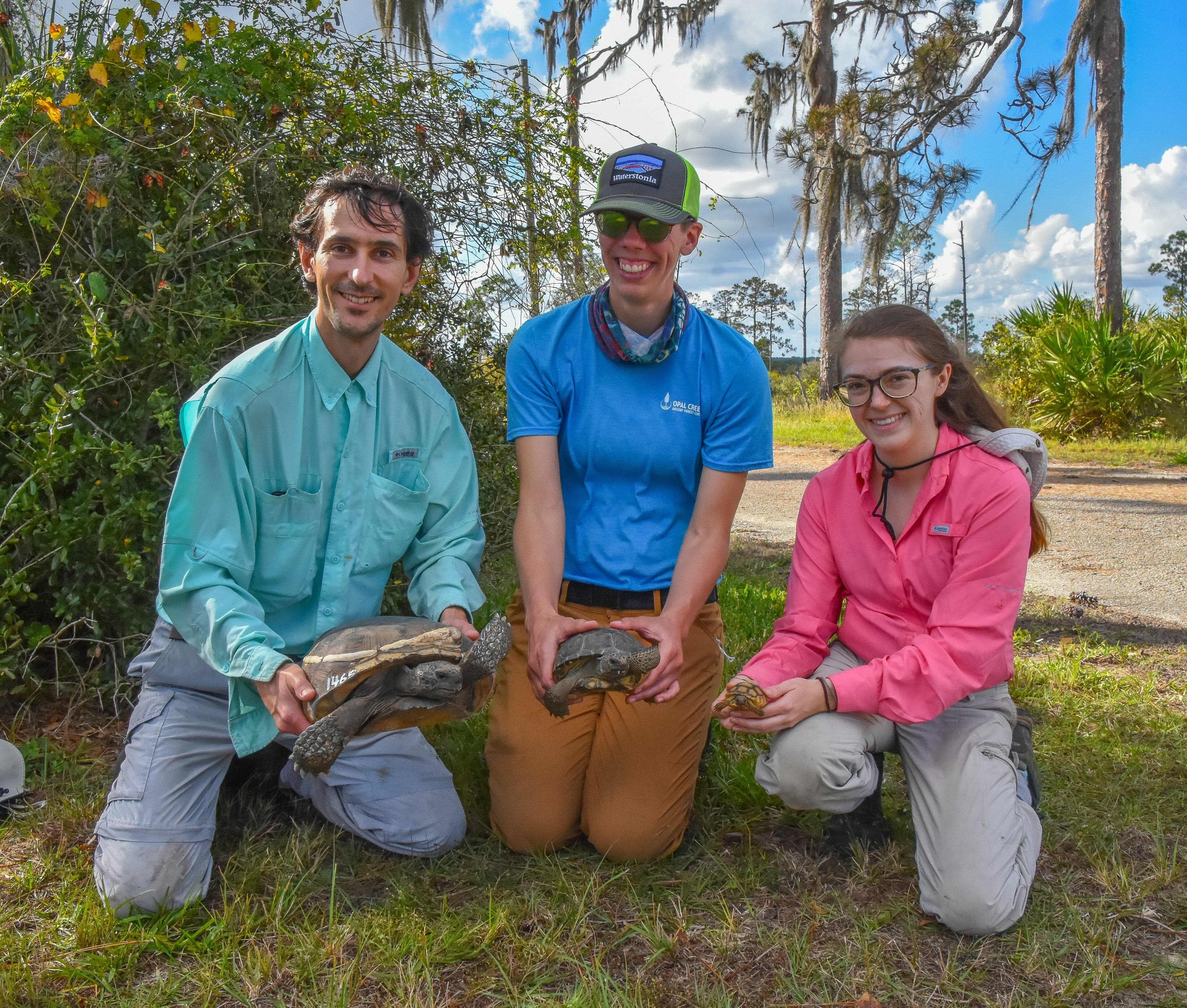 Herpetology & Restoration Ecology