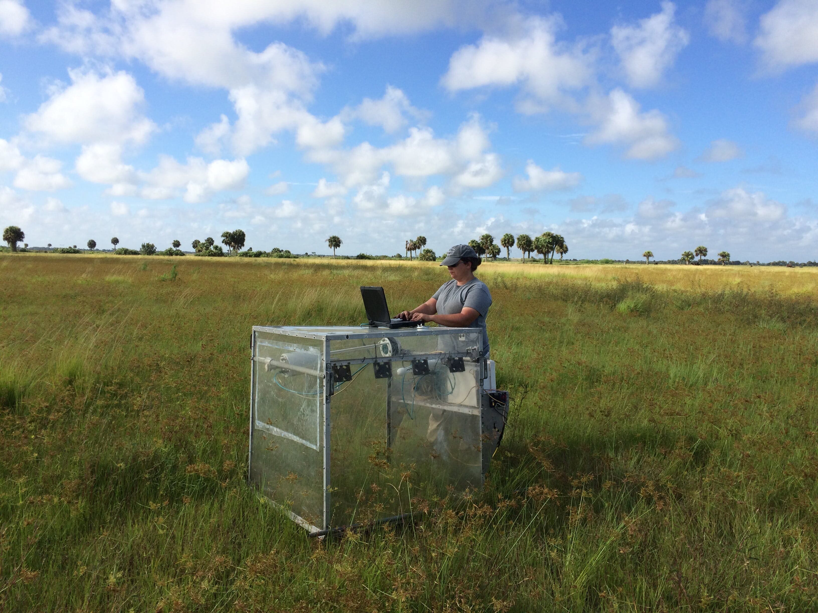 Agroecology