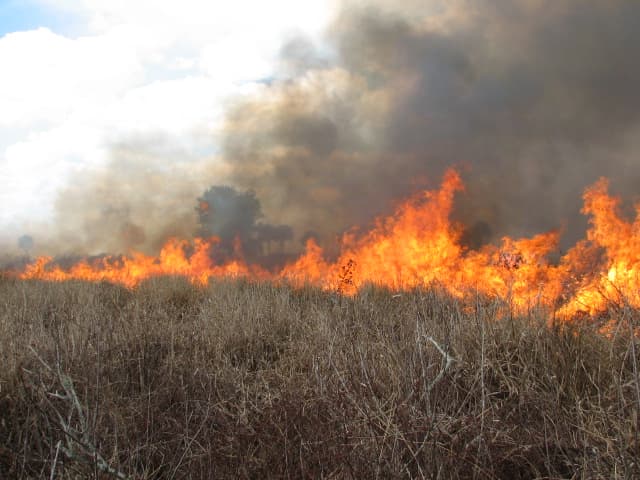 Ranch Wetland Experiment