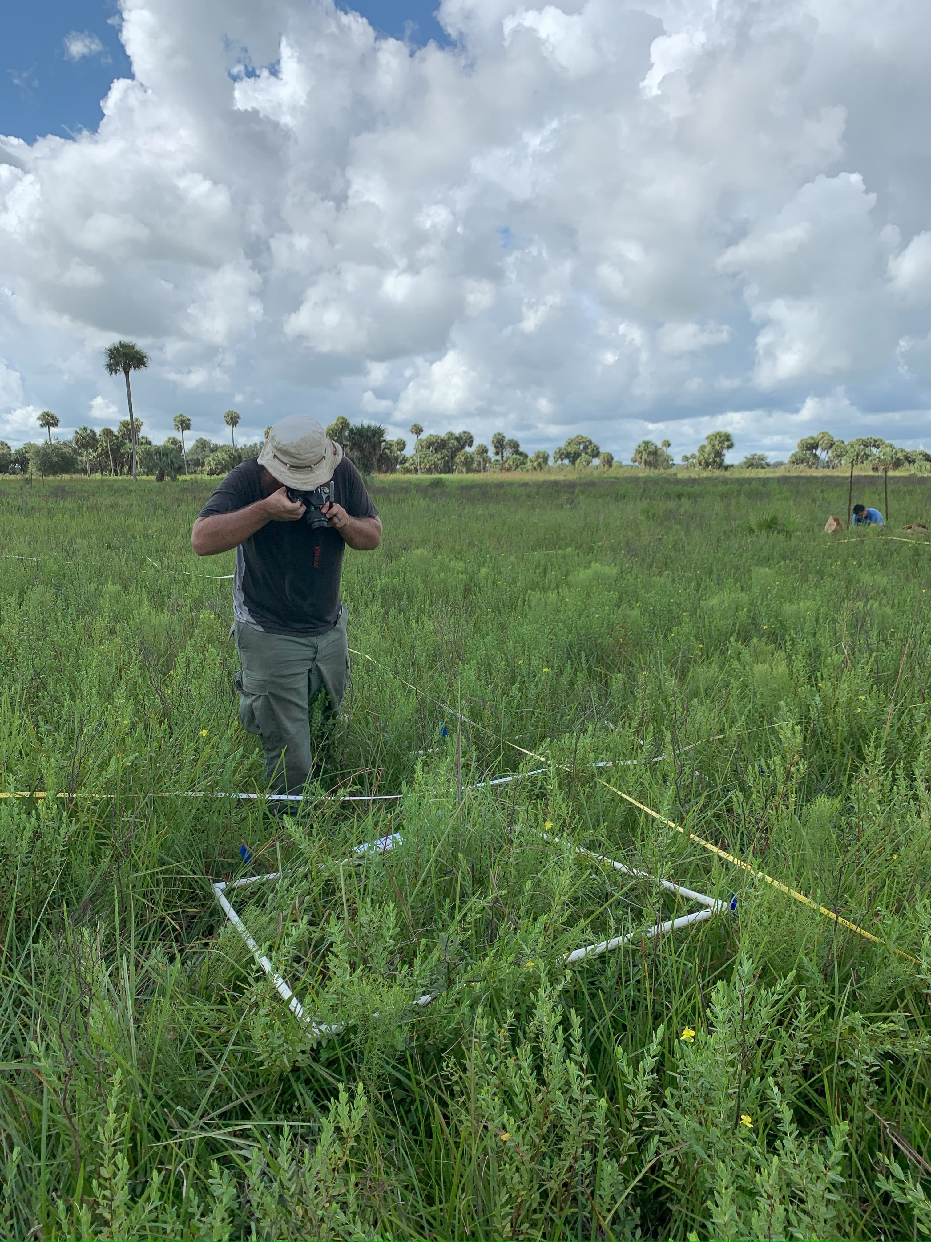 Field researchers