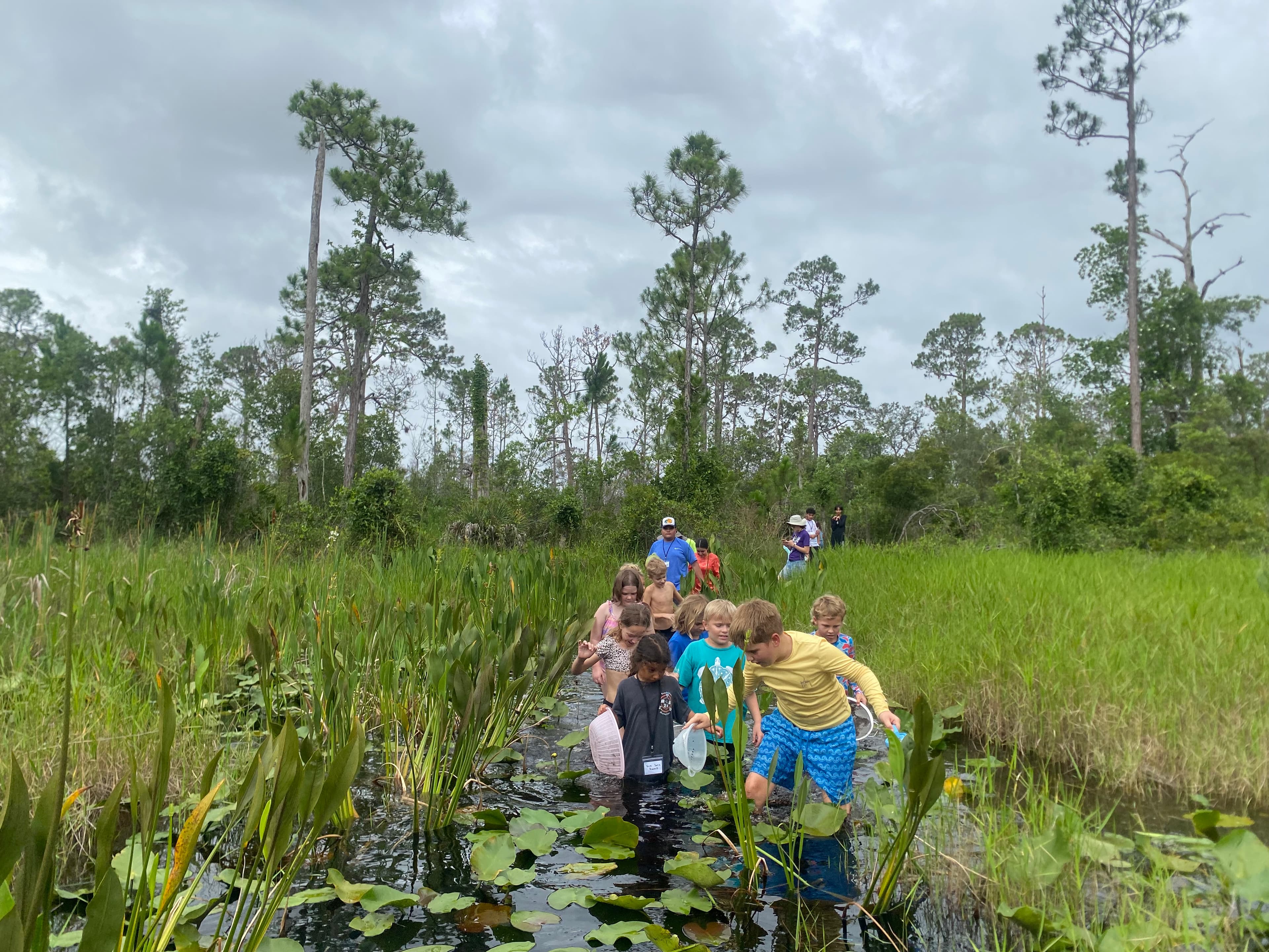 Summer camp seasonal pond