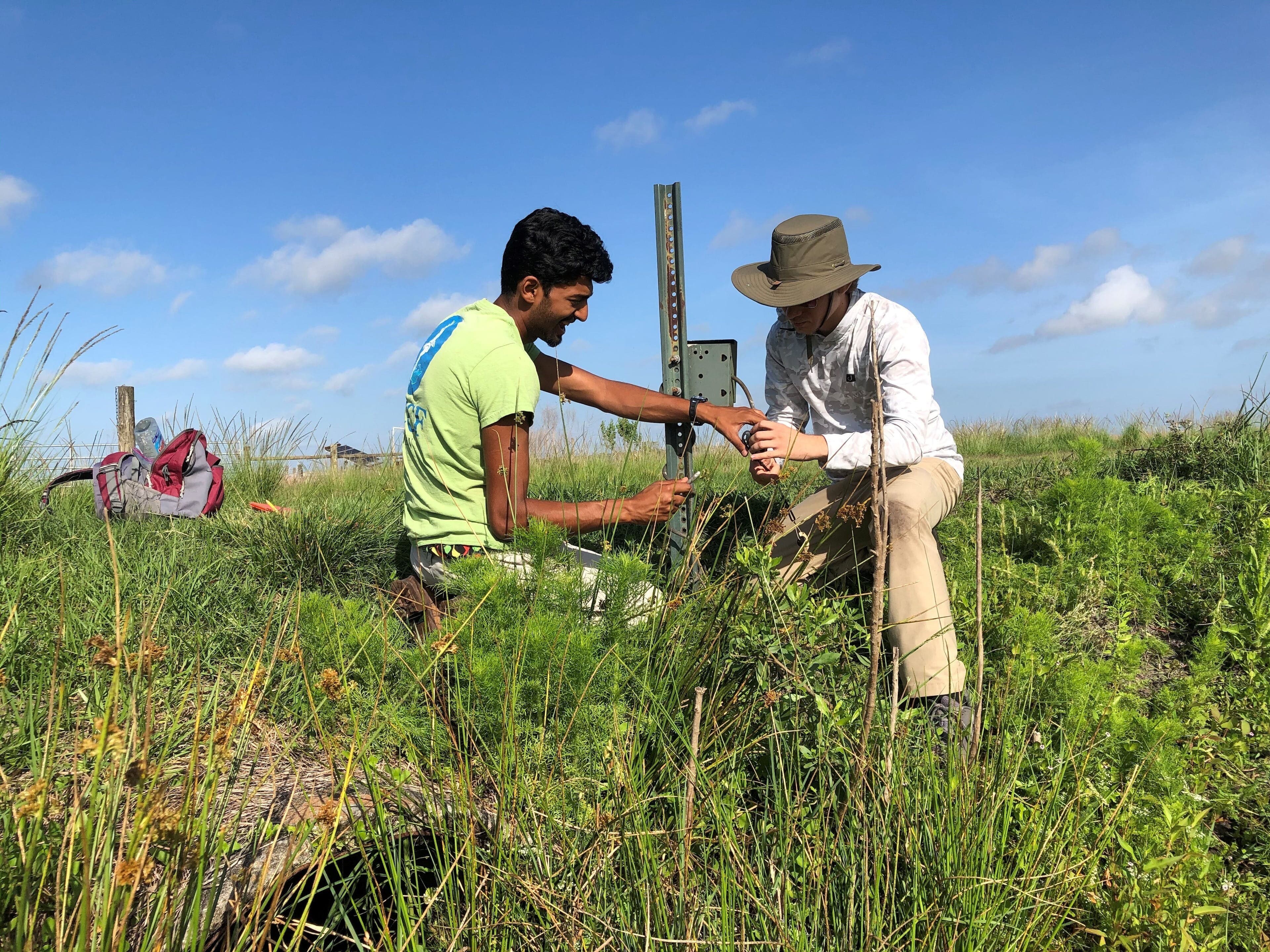 Archbold interns Sriram and Gabriel service a camera trap at Archbold's Buck Island Ranch; photo by JM Guthrie