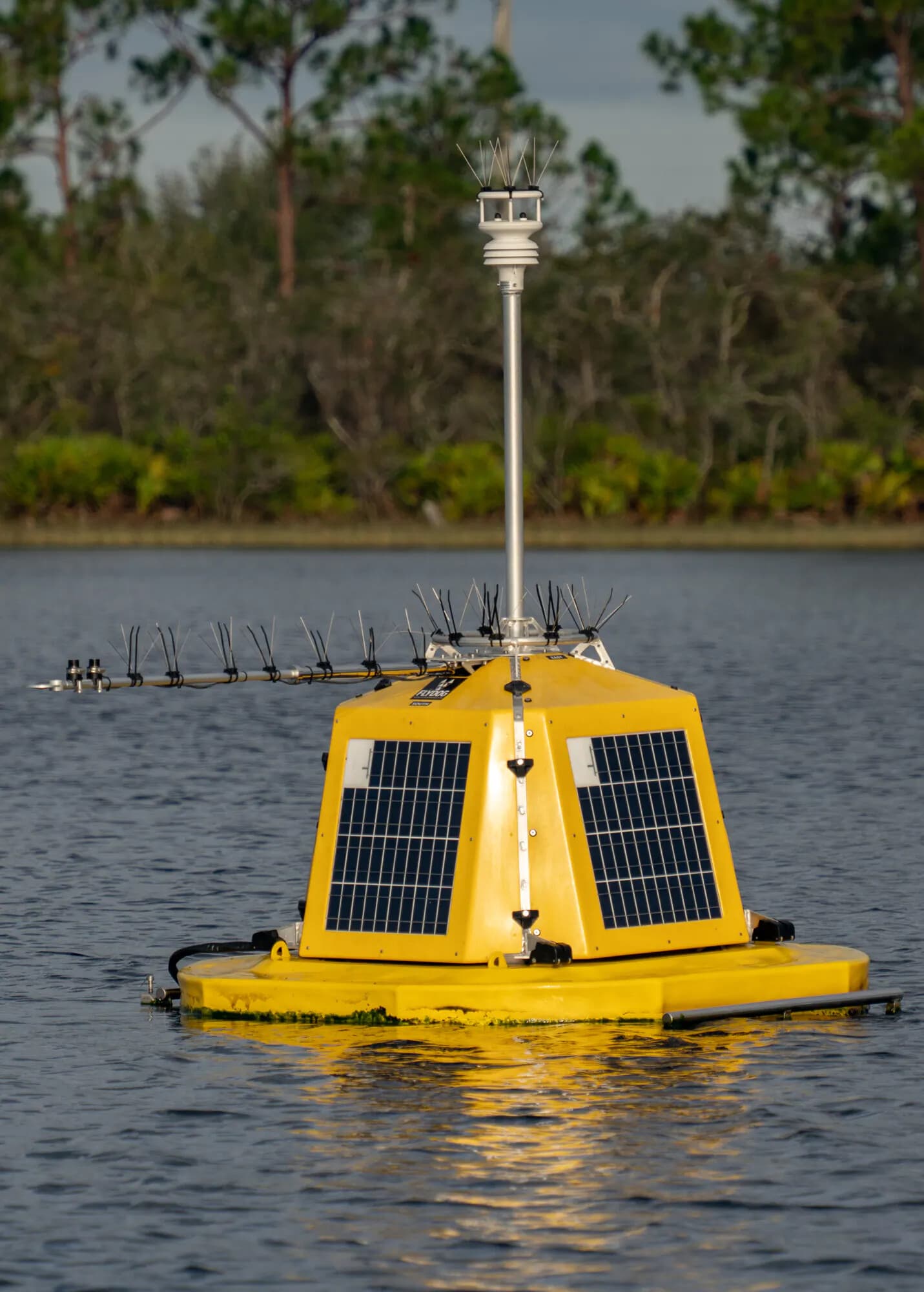 Lake Annie buoy