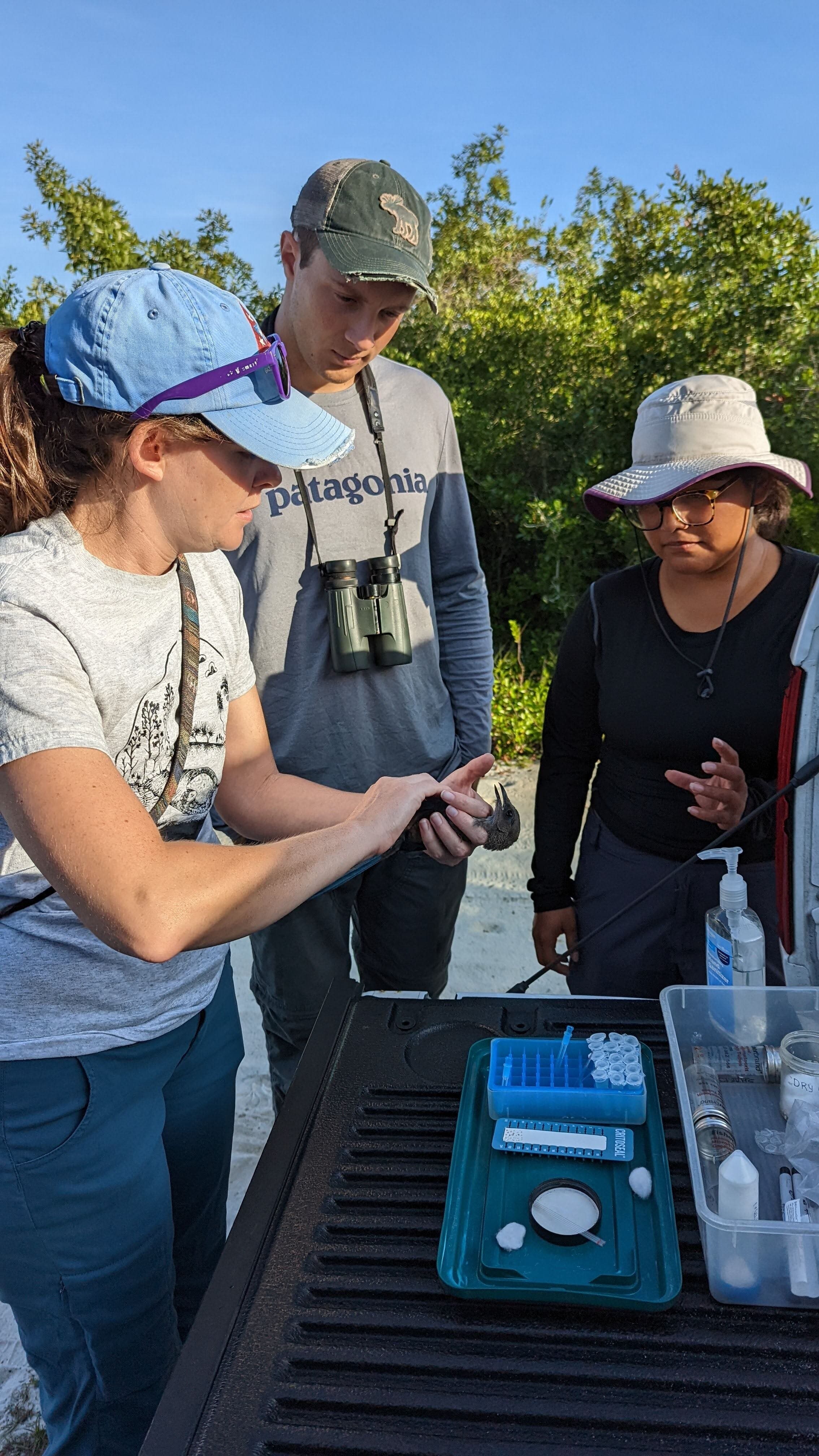 Research Assistant Meredith Heather demonstrating bird banding basics to interns (c) Tori Bakley