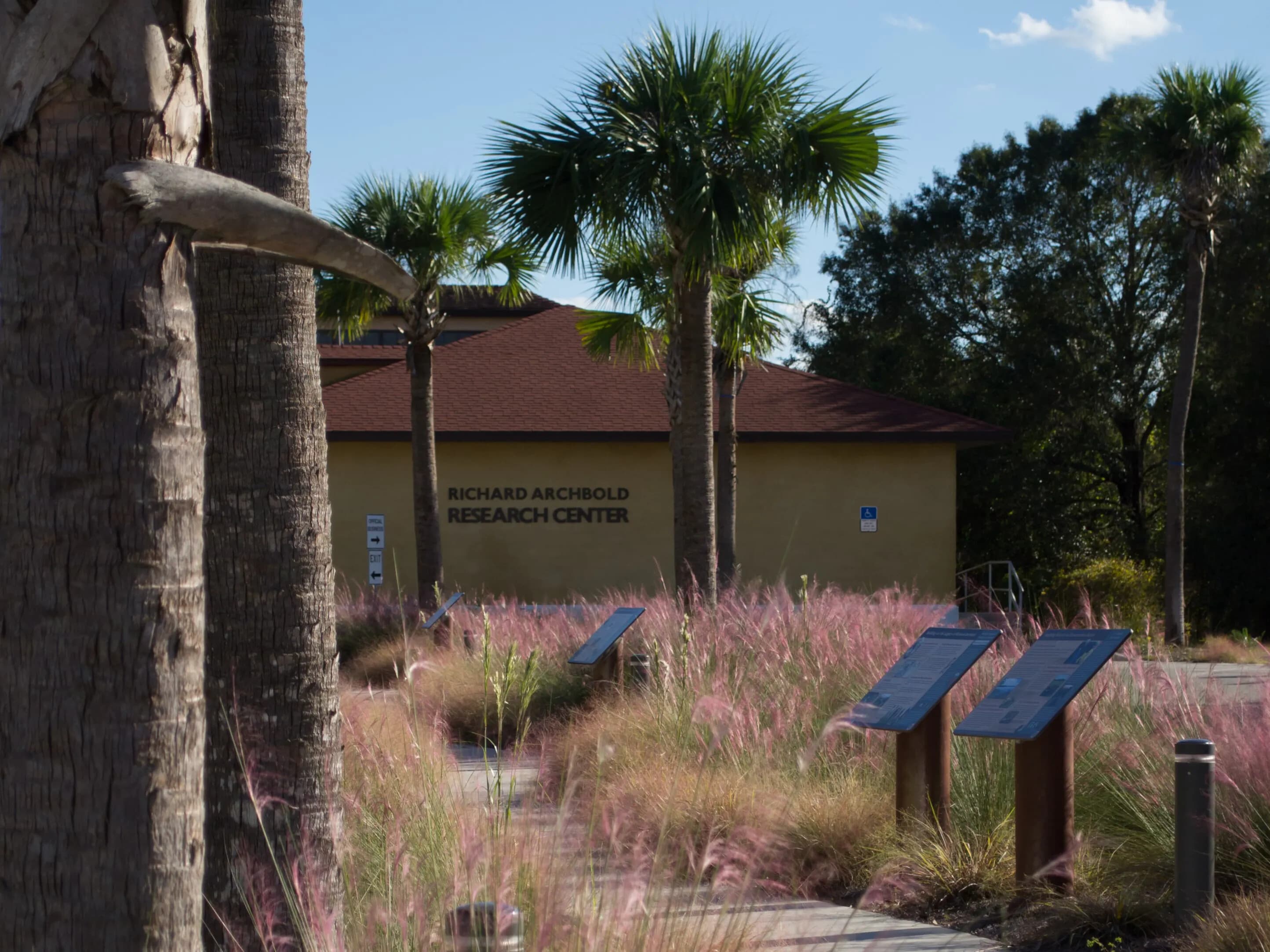 archbold research center sign muhly grass