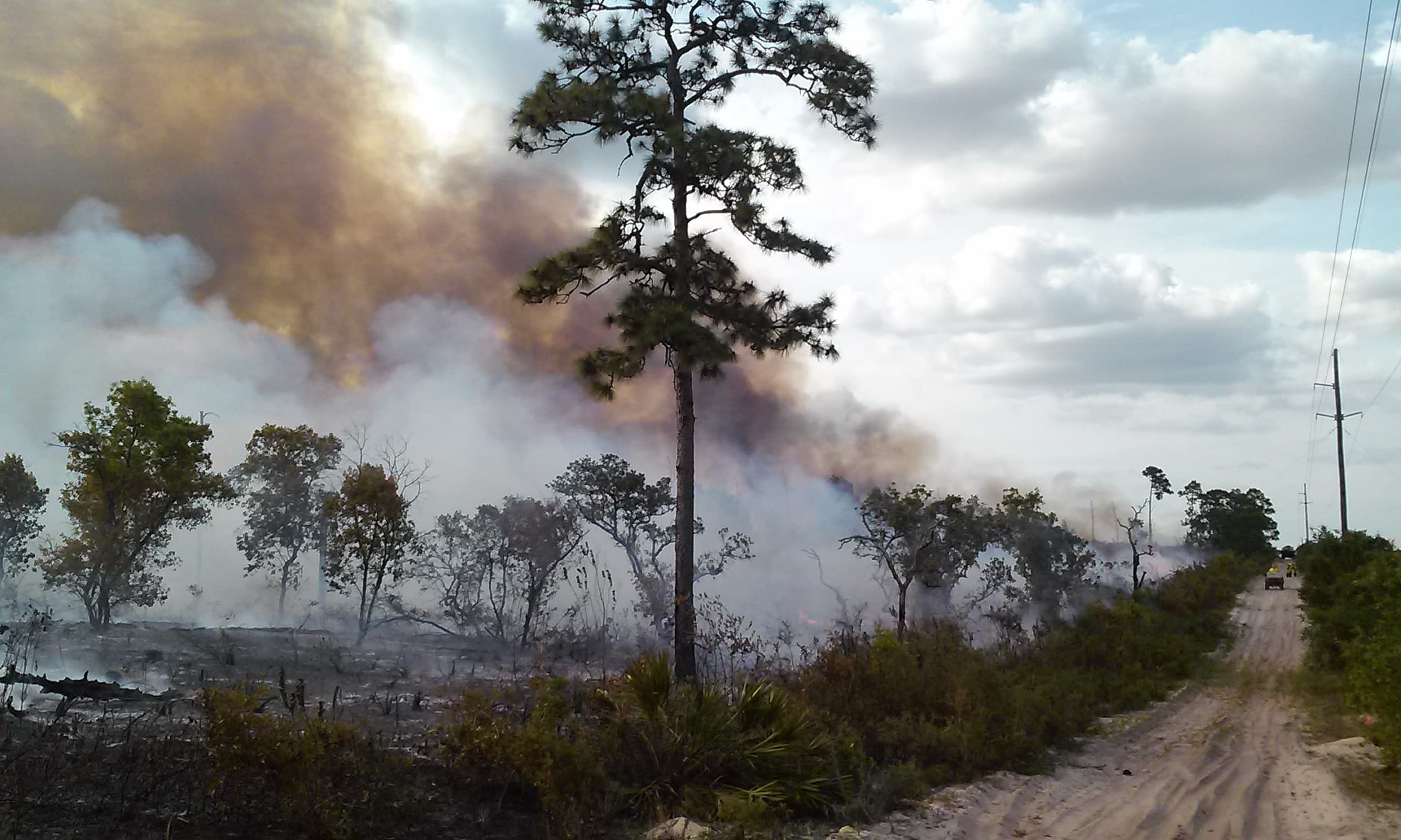 Prescribed fire