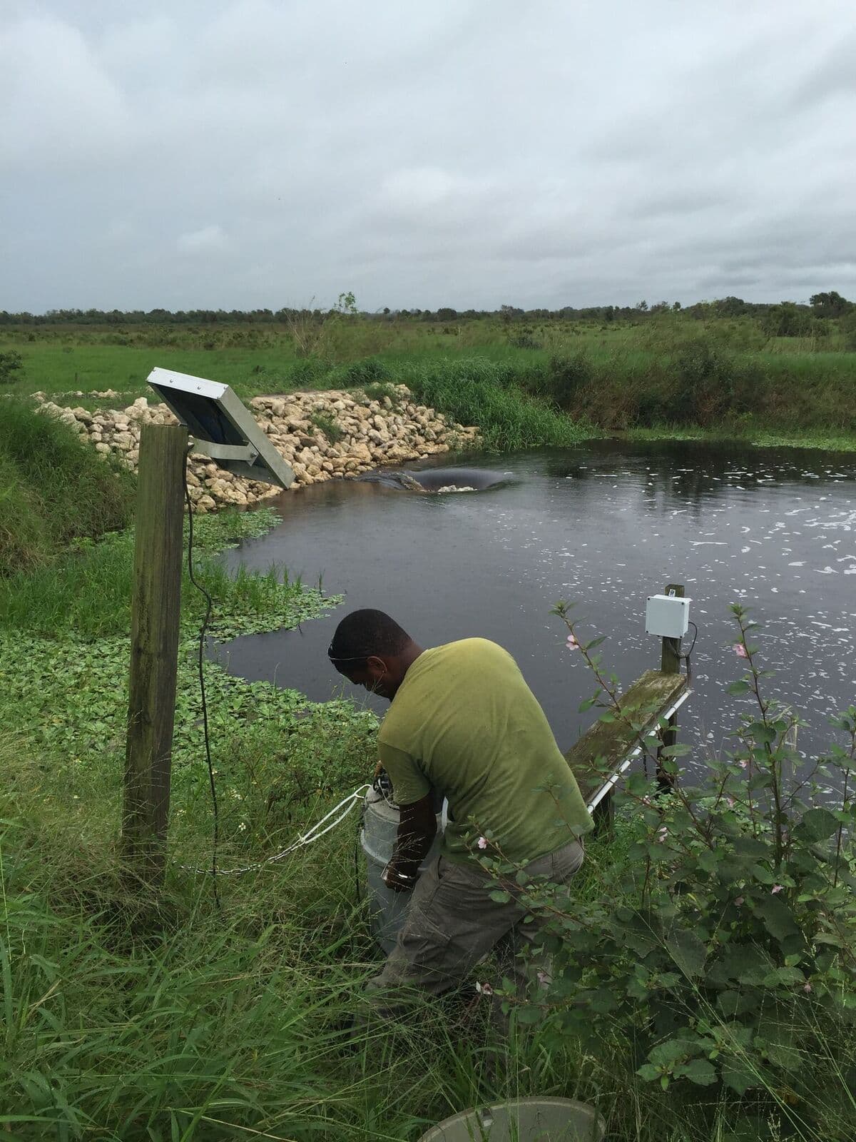Water quality monitoring