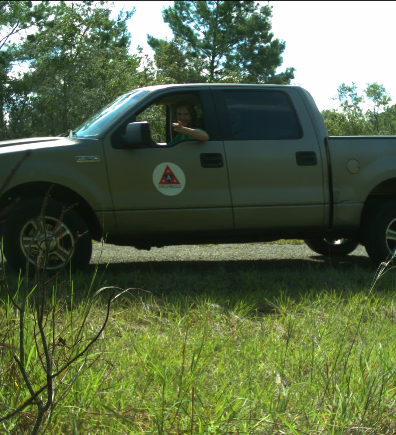 fin in truck