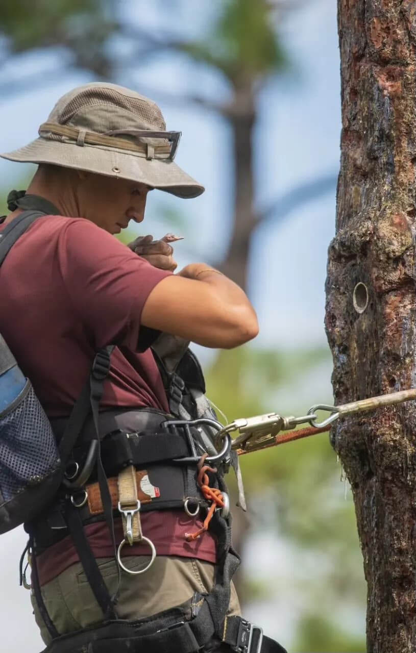 Conservation Science of Military Landscapes