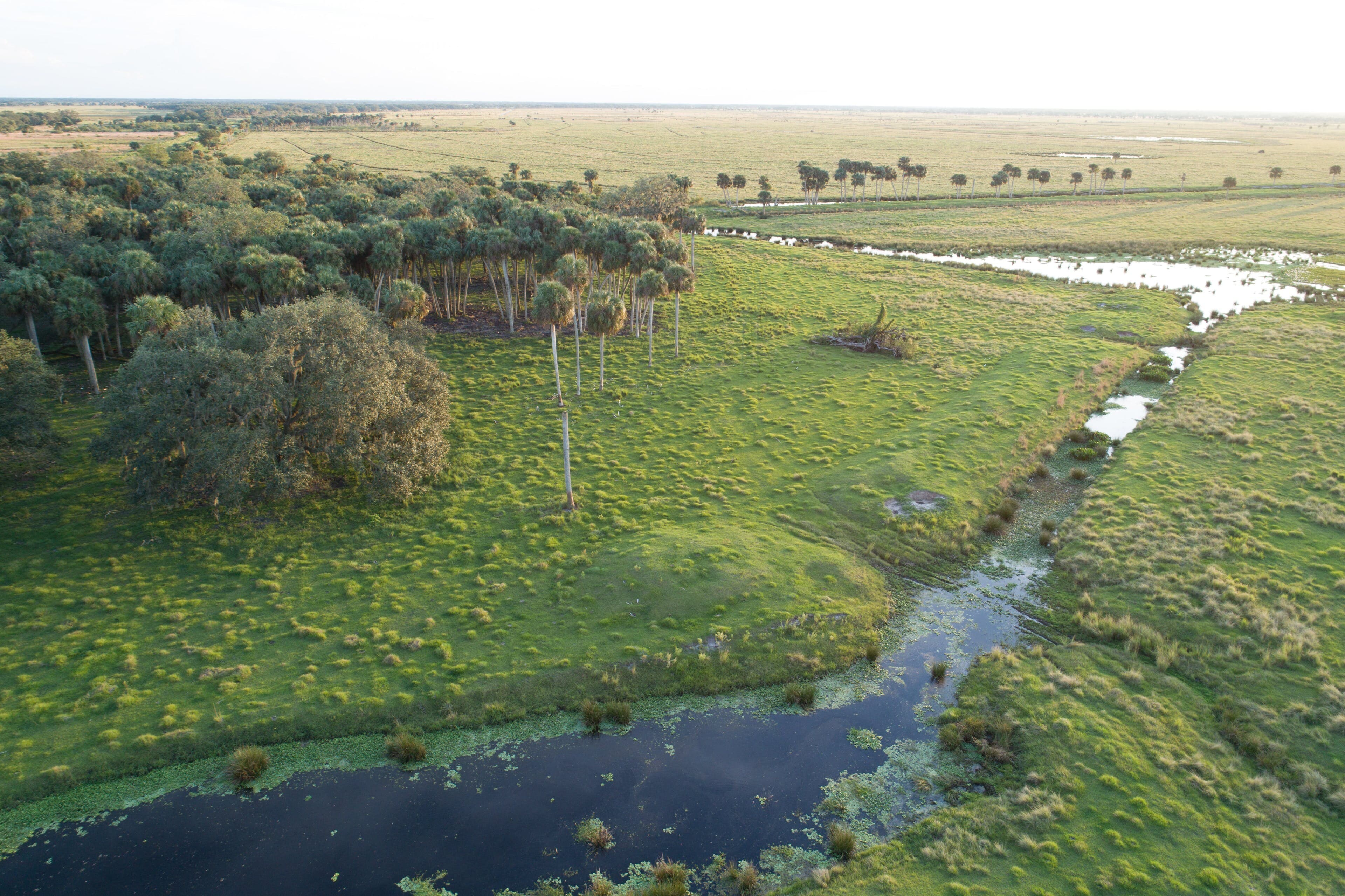 Archbold Biological Station