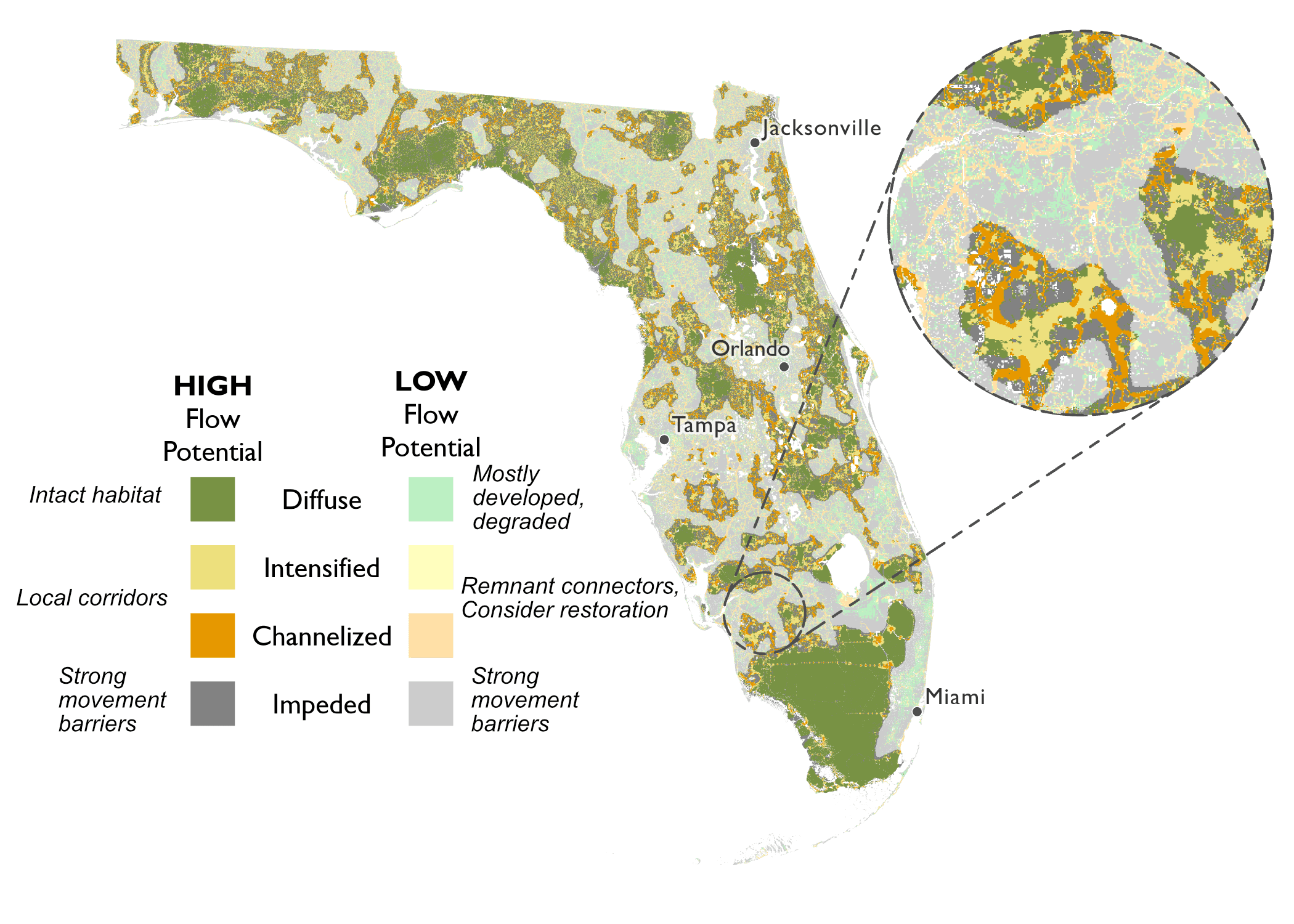 fl circuit