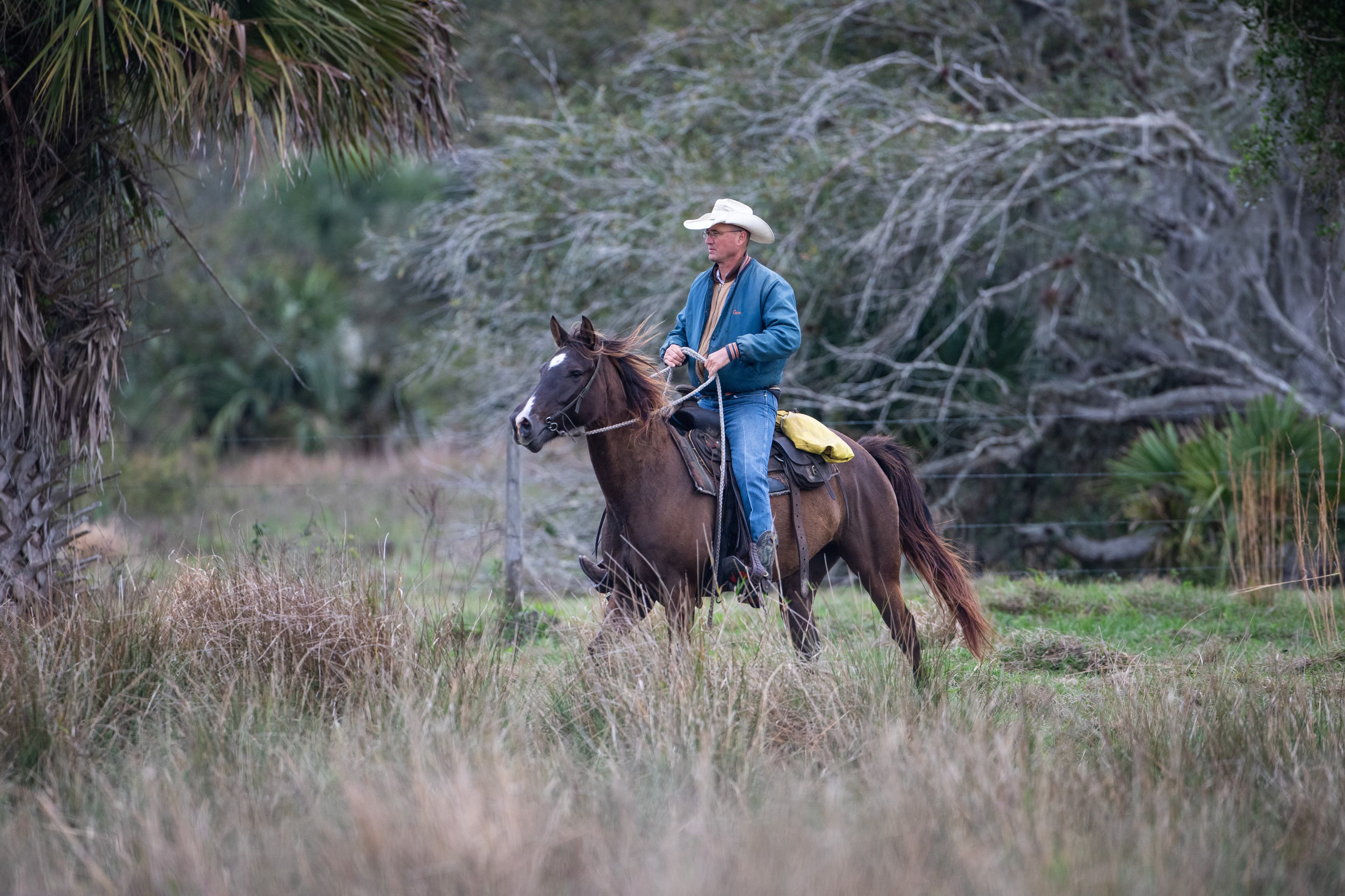 Working lands