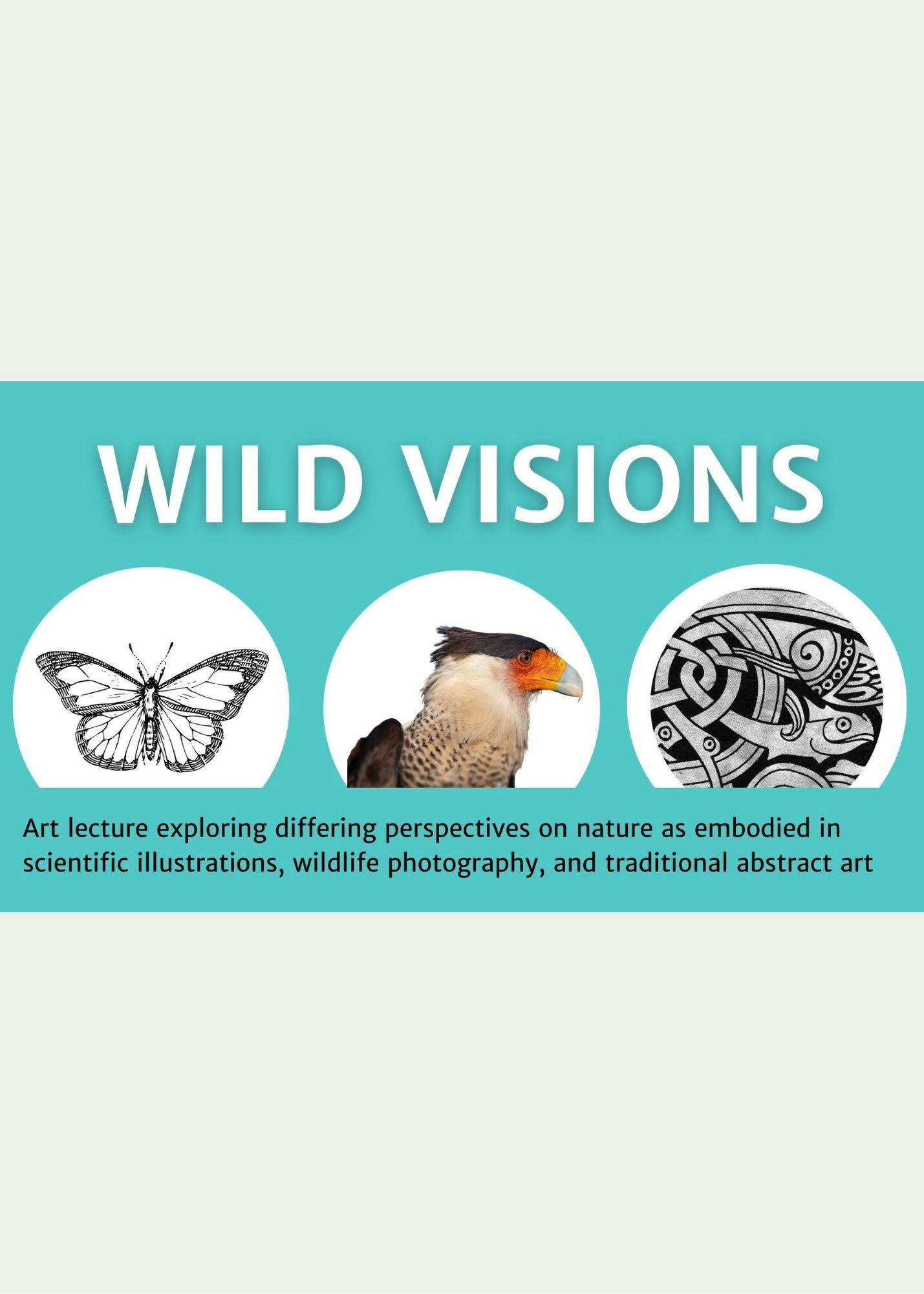 wild visions