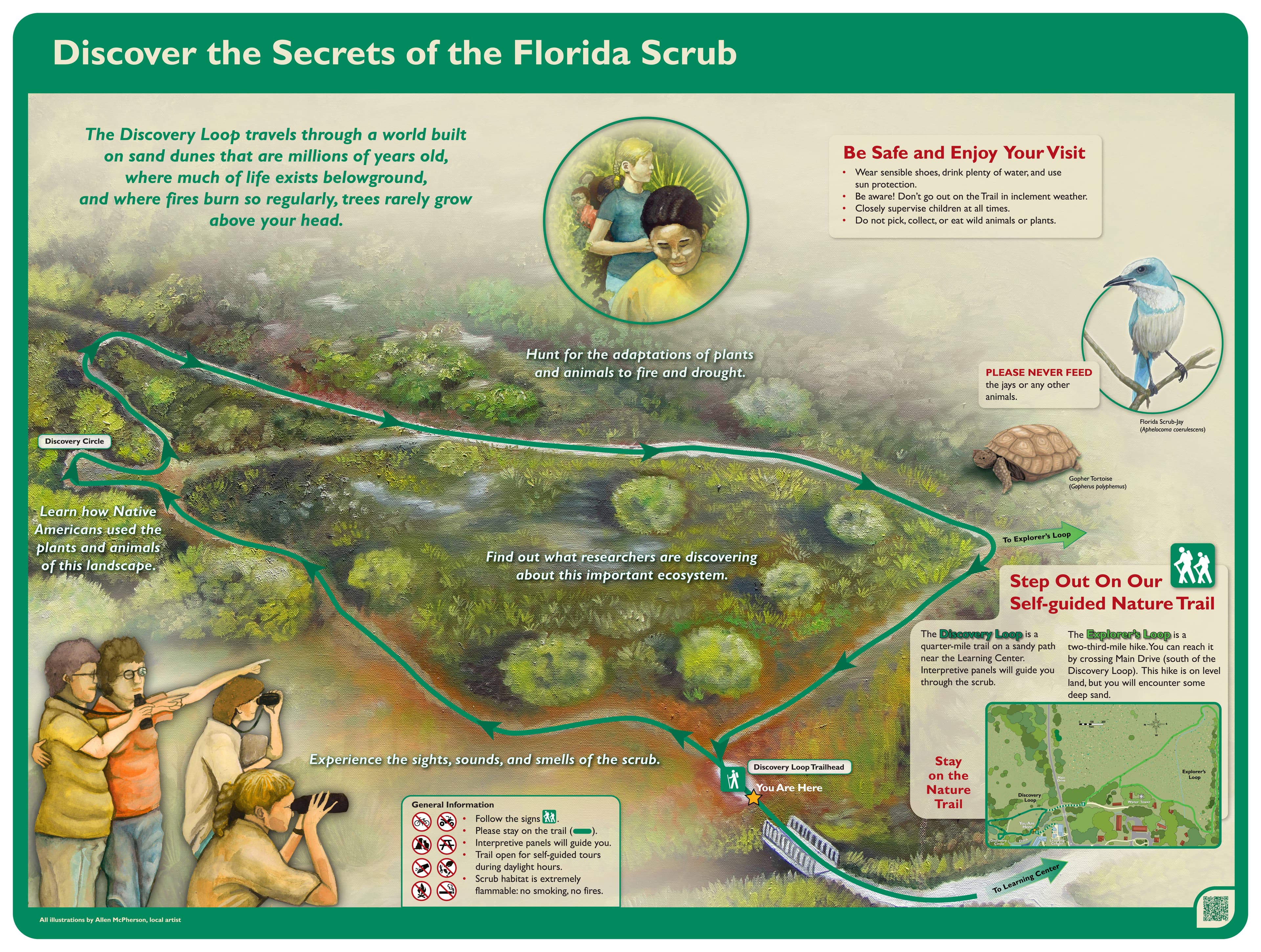 Discovery Loop