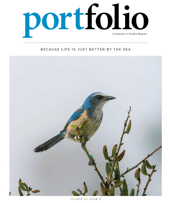 vero beach portfolio cover