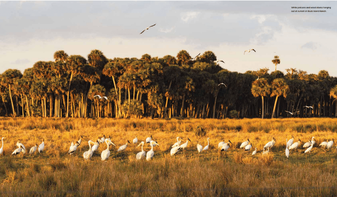 BIR in Vero Beach Portfolio